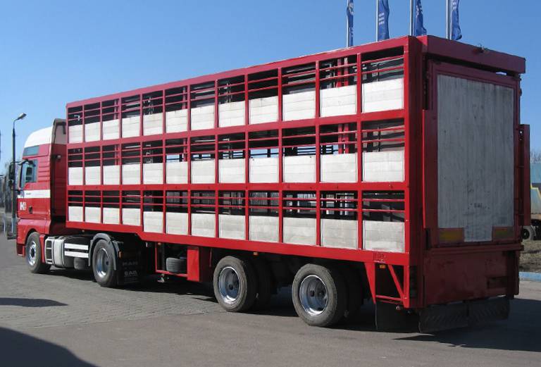 Заказать скотовоз для крупного рогатого скота из Вологды в Курскую область